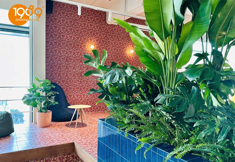 Mẹo bố trí cây xanh tối ưu trong không gian lớn