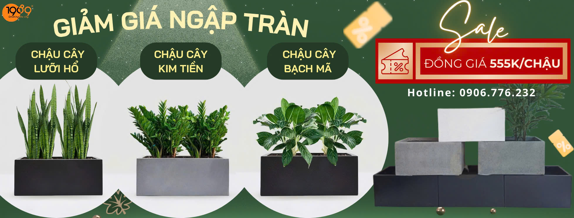 Top 3 Mẫu Chậu Xi Măng Đá Mài Chữ Nhật Giá Rẻ Bạn Nên Biết | 1989 LS