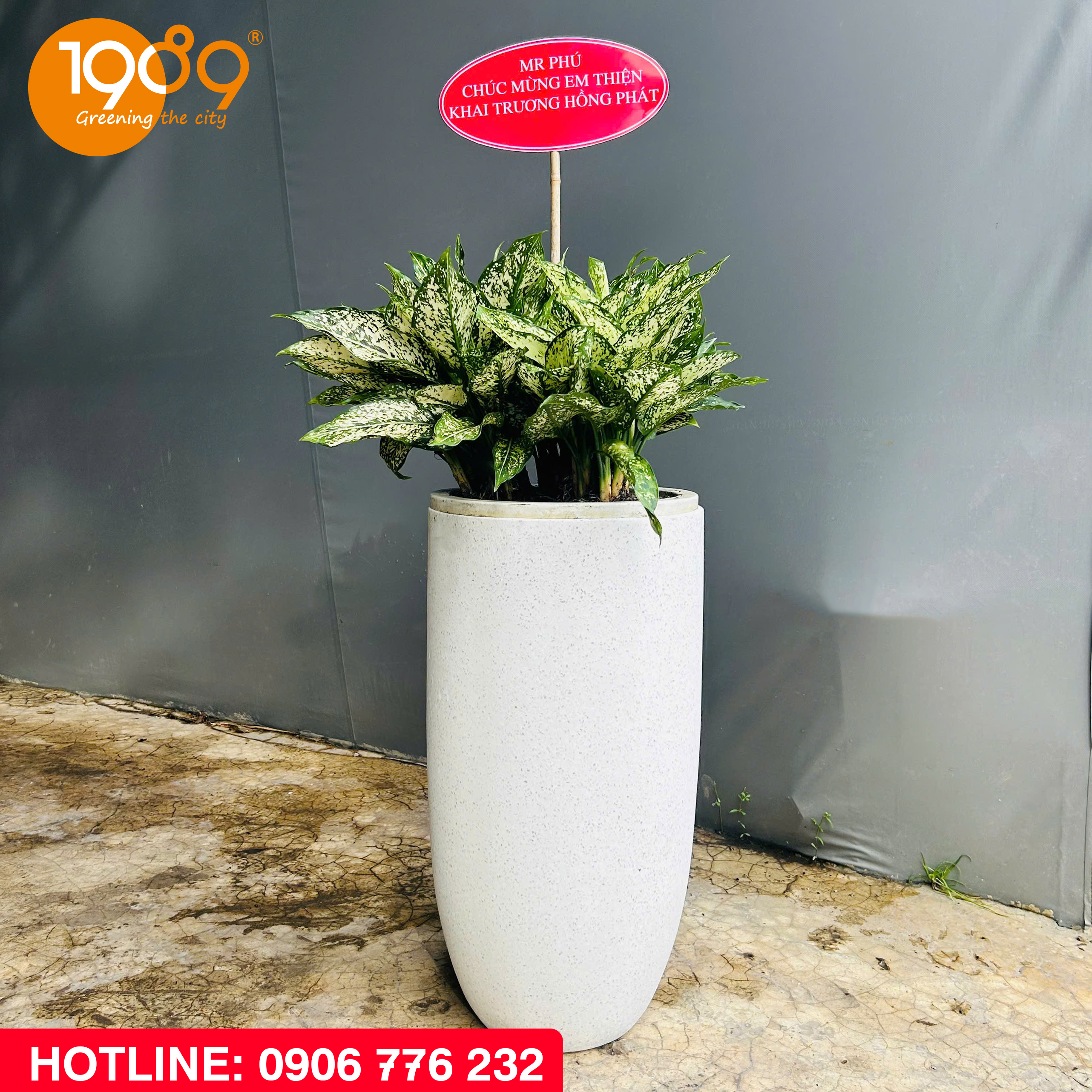 Chậu Đá Mài Phong Thủy Theo Mệnh