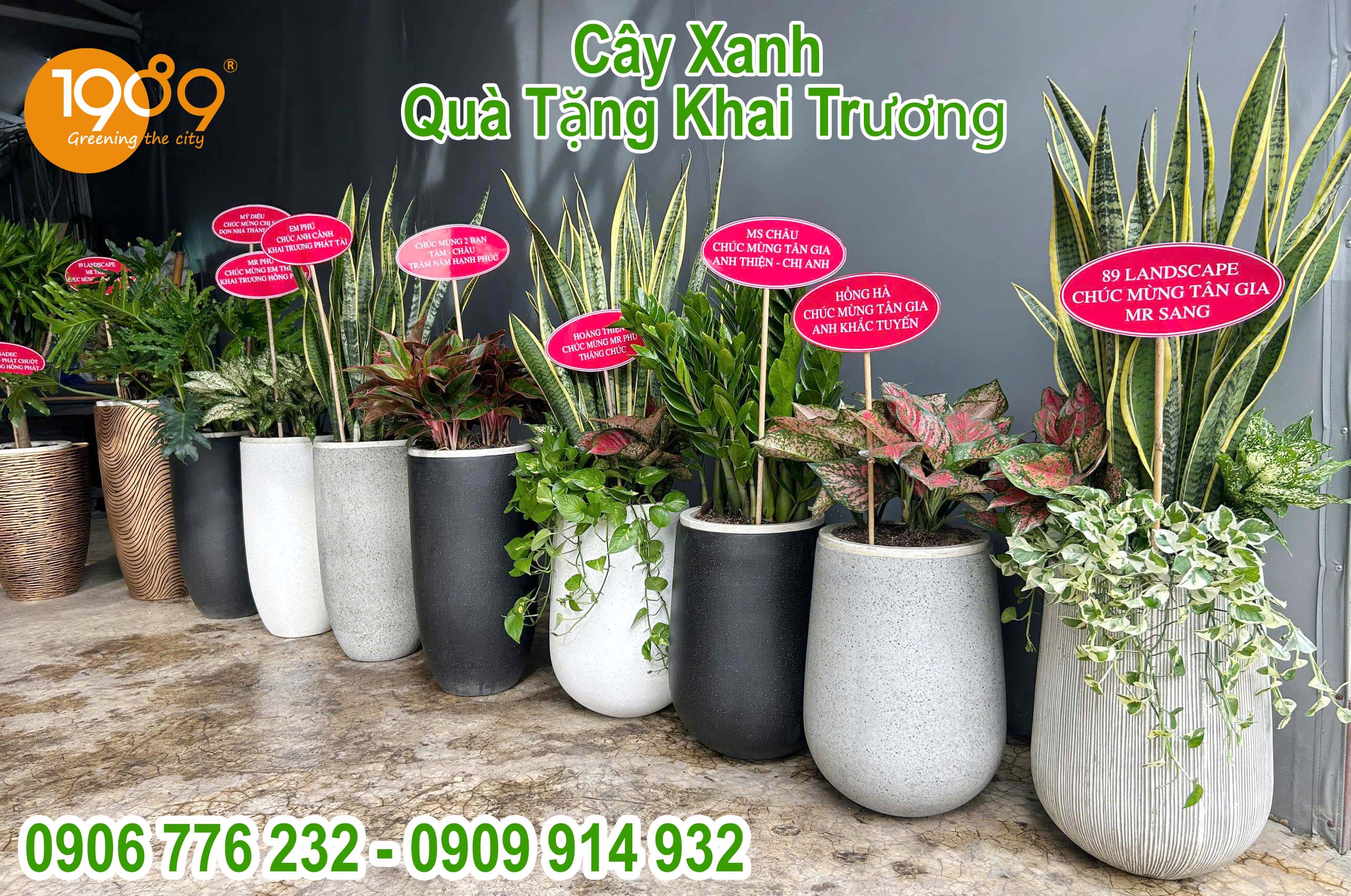 Bí Kíp Mua Cây Xanh Online: An Toàn & Đơn Giản