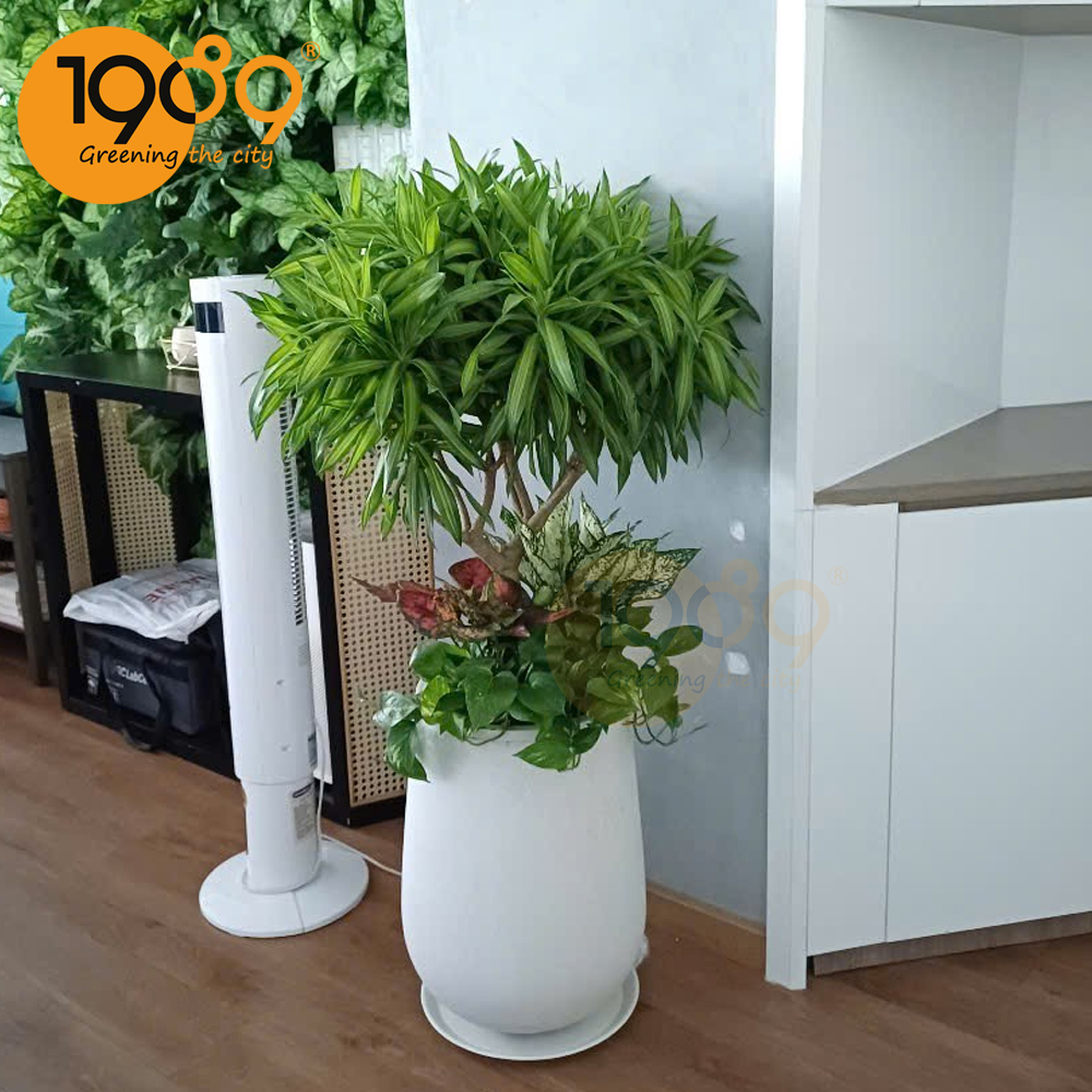 Bộ Sưu Tập Chậu Đá Mài Đẹp Bộ Sưu Tập Chậu Đá Mài Đẹp