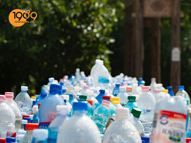 chậu xi măng lục giác nhỏ đẹp