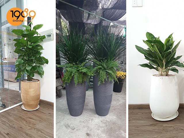 chậu cảnh đá mài giọt nước phong cách cổ điển