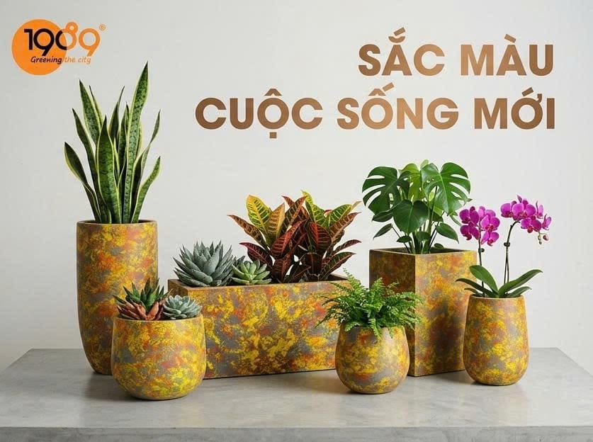 Chậu decor vân loang