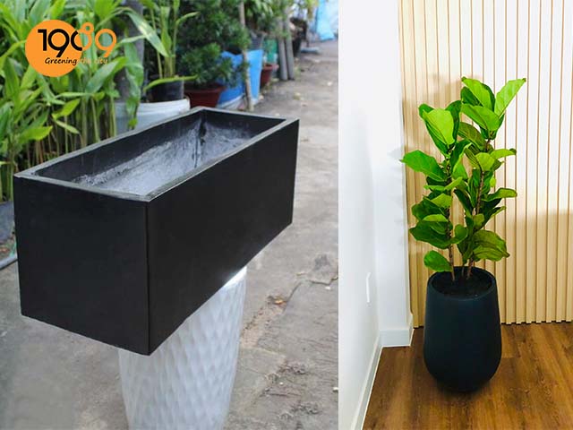 chậu cảnh xi măng đá mài Phong cách hiện đại chữ nhật và giọt nước