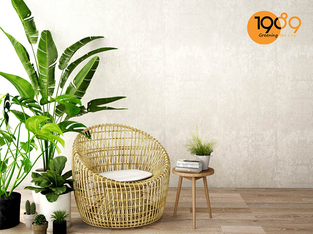 chậu cây cảnh đá mài