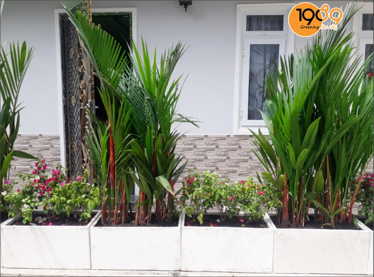 Chậu đá mài chữ nhật trắng