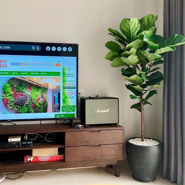 9. Chậu đá mài Chivas 37x40(cm)