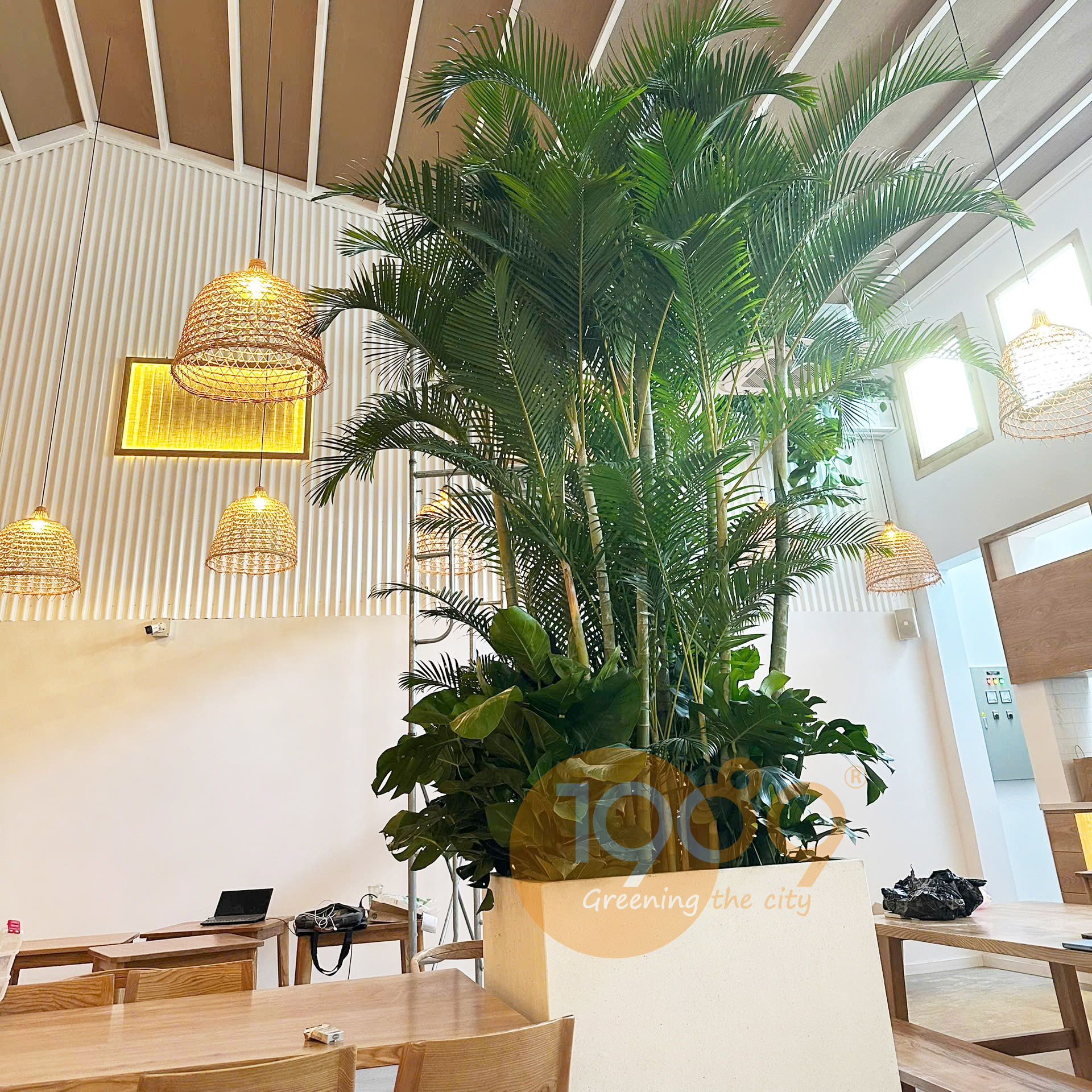 Bộ Sưu Tập Chậu Đá Mài Đẹp Bộ Sưu Tập Chậu Đá Mài Đẹp