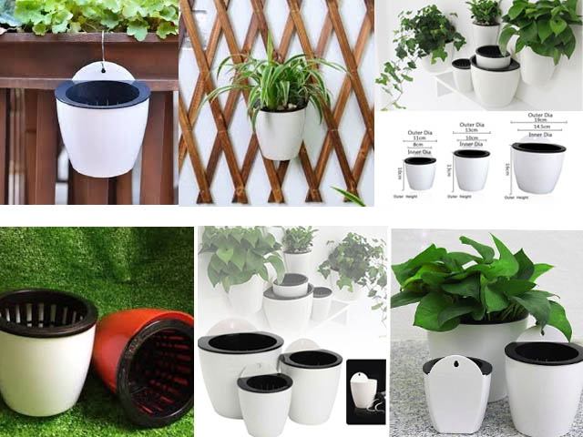 chậu cây thông minh tự tưới nước dạng treo cao