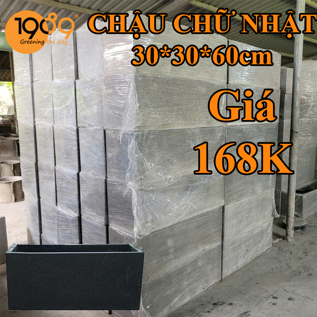 Chậu Cây Xi Măng Chữ Nhật: 3 Mẫu Đẹp – Bền – Rẻ Độc Quyền Tại 89 Landscape