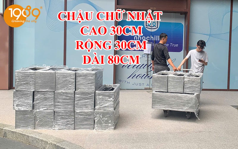 Chậu chữ nhật tại xưởng giá tốt