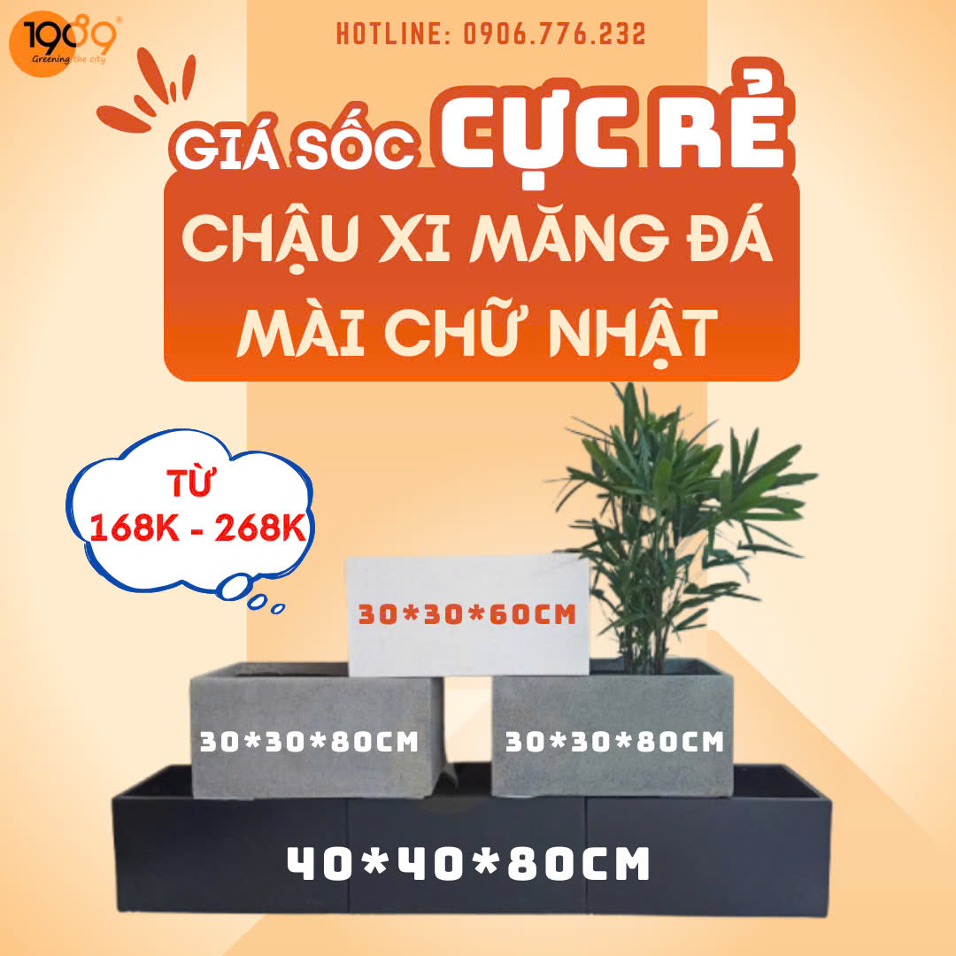 Chậu đá mài ban công: Bí kíp biến 20m² thành ốc đảo xanh sang trọng