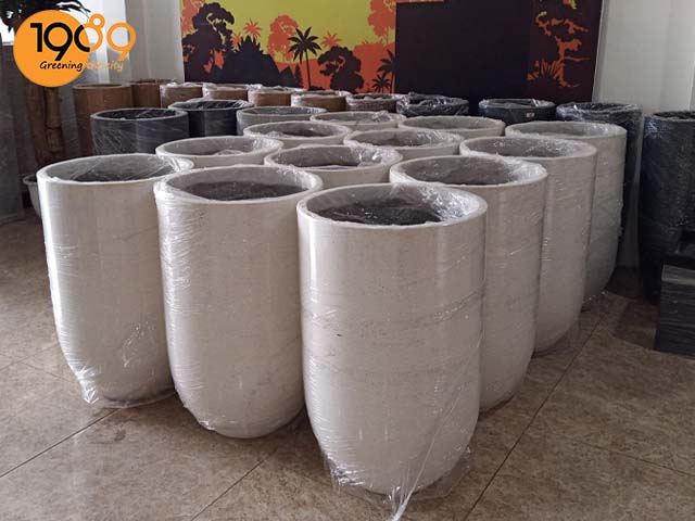 chau da mai 1989 mau trang