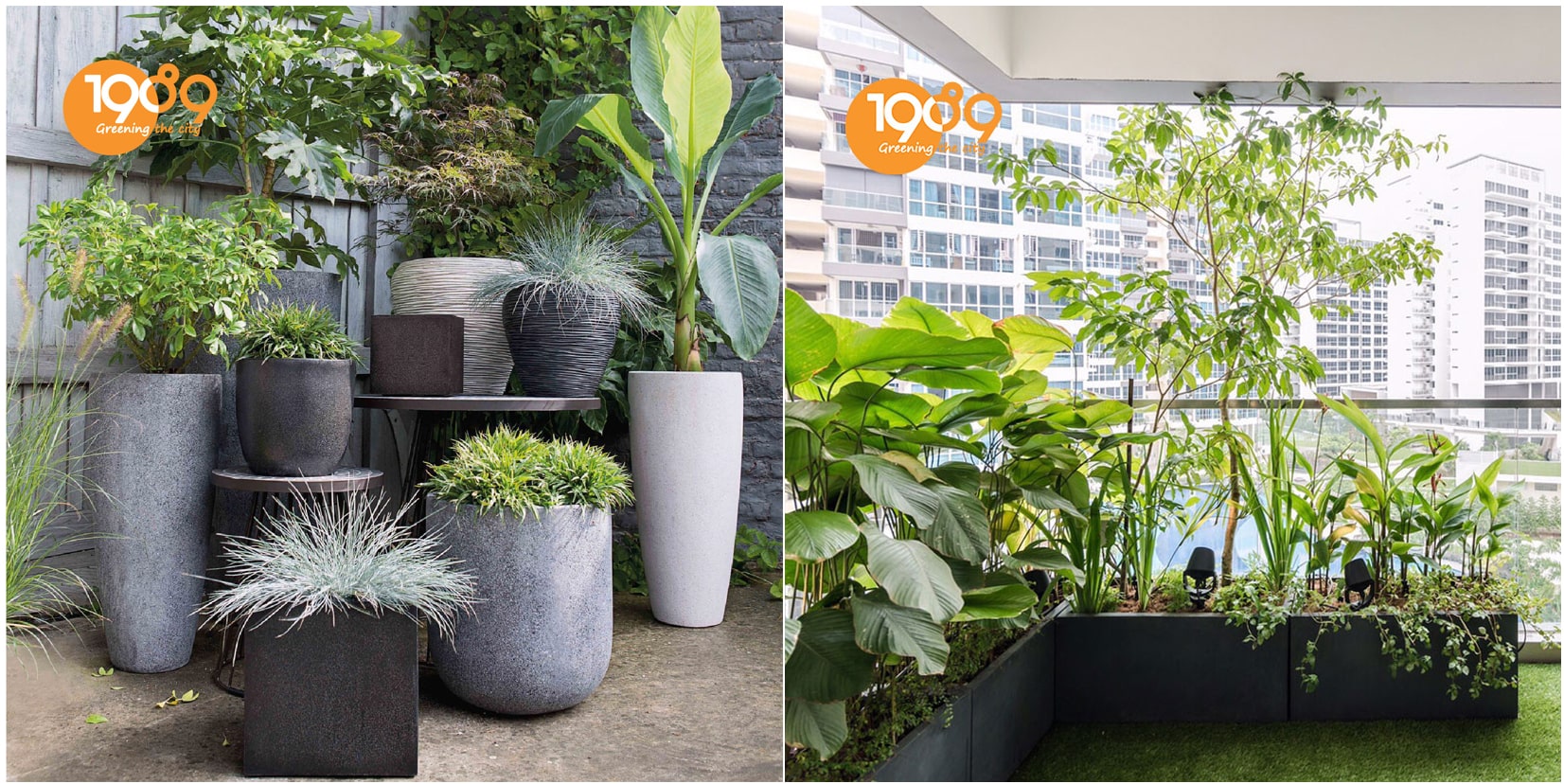 Chậu đá mài 1989