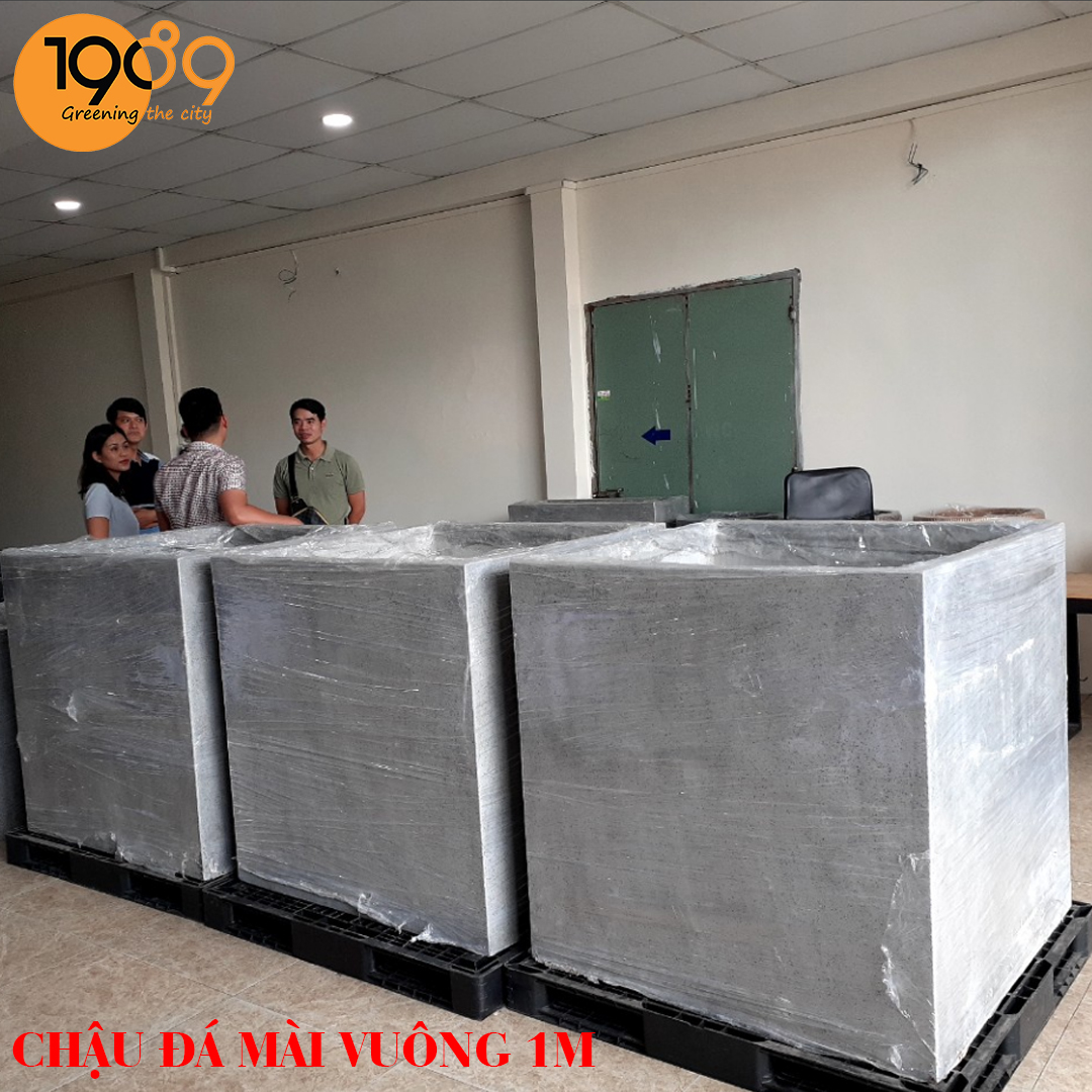 Chậu Xi Măng Đá Mài: Vật Phẩm Quốc Dân Không Thể Thiếu Trong Thiết Kế Kiến Trúc Hiện Đại