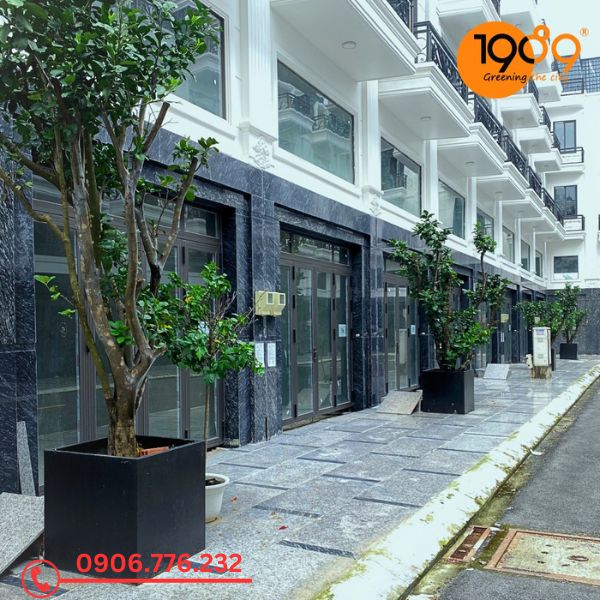 chậu xi măng đá mài