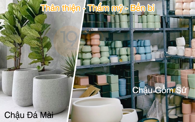 So sánh chậu xi măng và chậu gốm