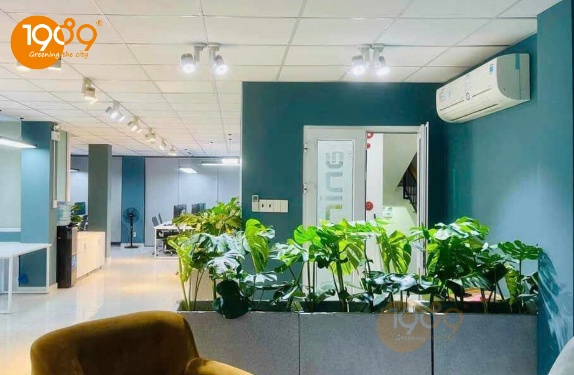 Chậu Trồng Cây
