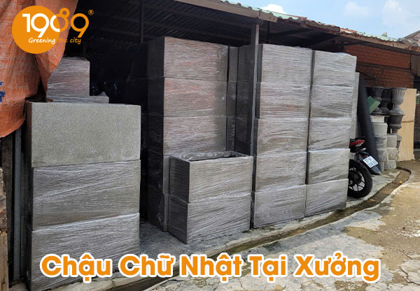 Chậu Đá Mài Chữ Nhật Dài 80cm
