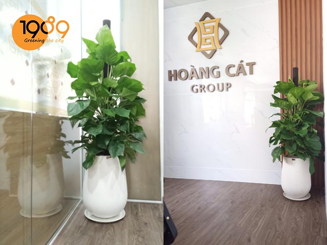 chậu đá mài giọt nước màu trắng