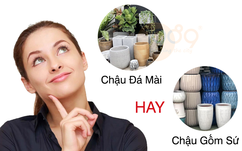 So sánh chậu xi măng và chậu gốm