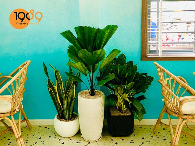 chậu đá mài lập phương bo với 2 chậu tròn