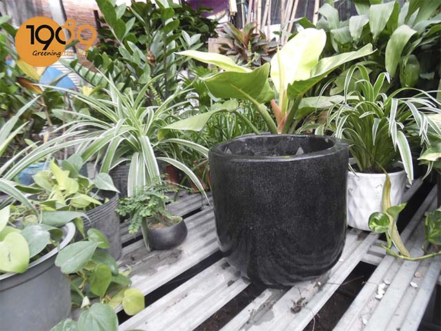 chậu đá mài màu đen