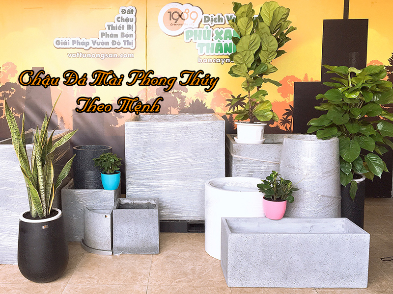 Chậu Đá Mài Phong Thủy Theo Mệnh