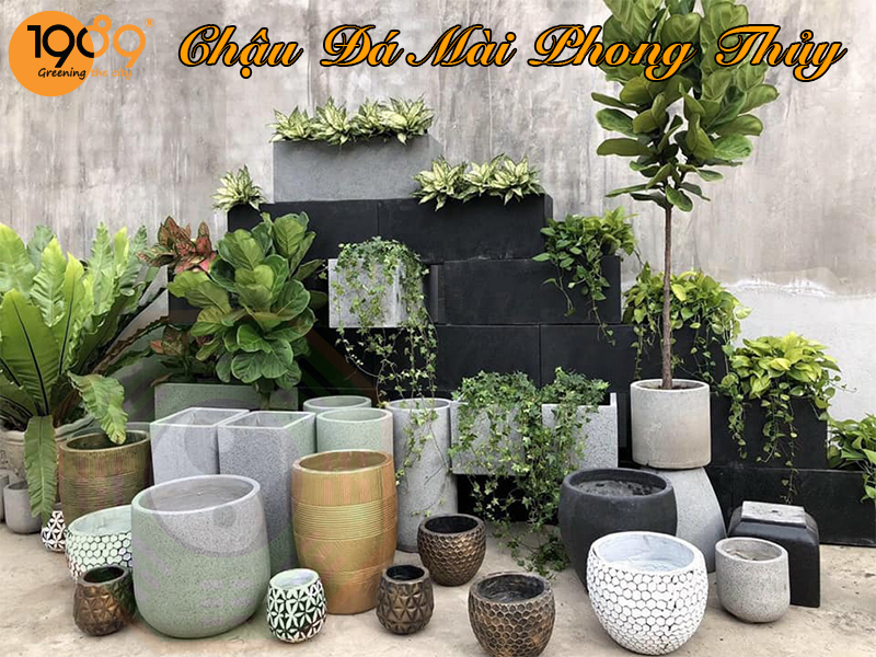 Chậu xi măng đá mài chữ nhật giá rẻ