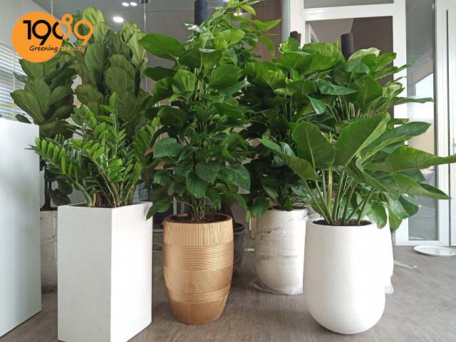 chậu đá mài tròn giọt nước màu trắng