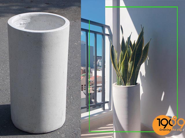 chậu đá mài tròn trụ màu trắng lưỡi hổ