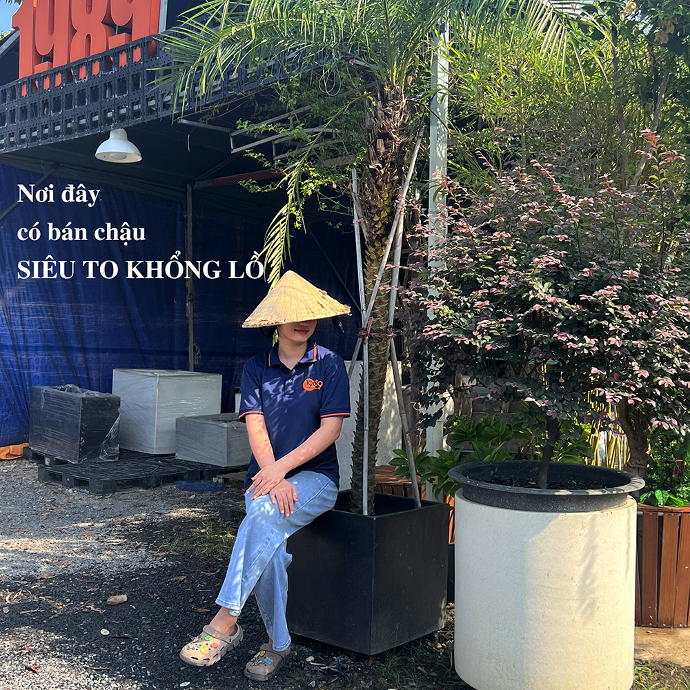 Chậu xi măng đá mài tròn trụ