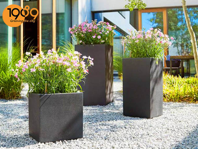 chậu đá mài trồng cây