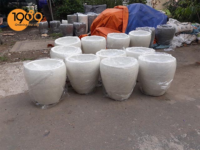 chậu đá mài trồng cây cảnh