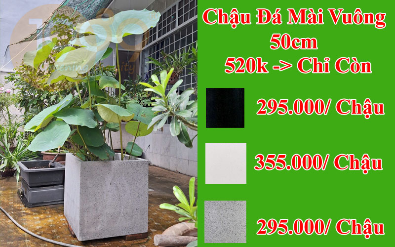 Chậu đá mài vuông 50cm