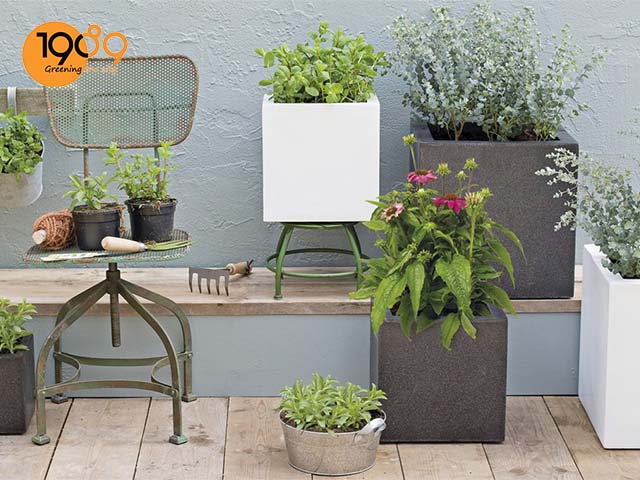 chậu đá mài vuông thủ đức