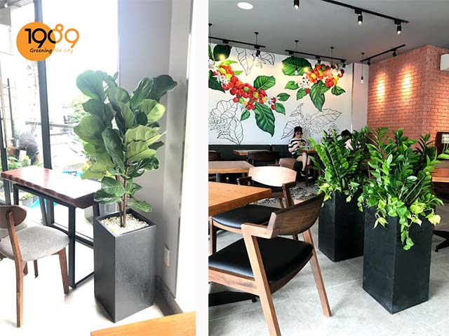 chậu đá mài vuông trụ