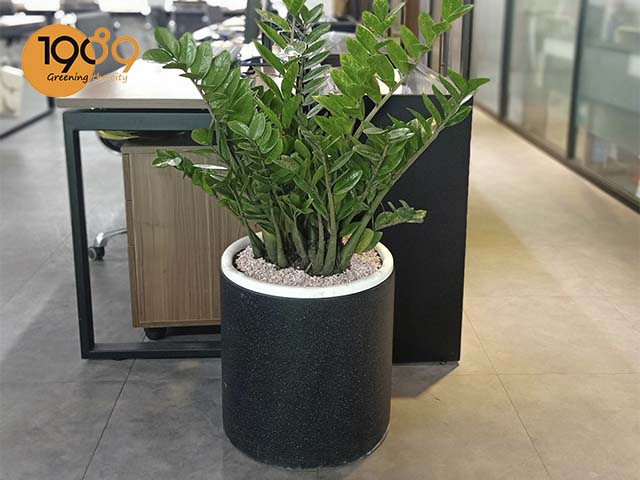 chậu đá mài xi măng màu đen