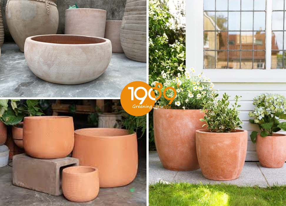 Chậu Trồng Cây Size Lớn