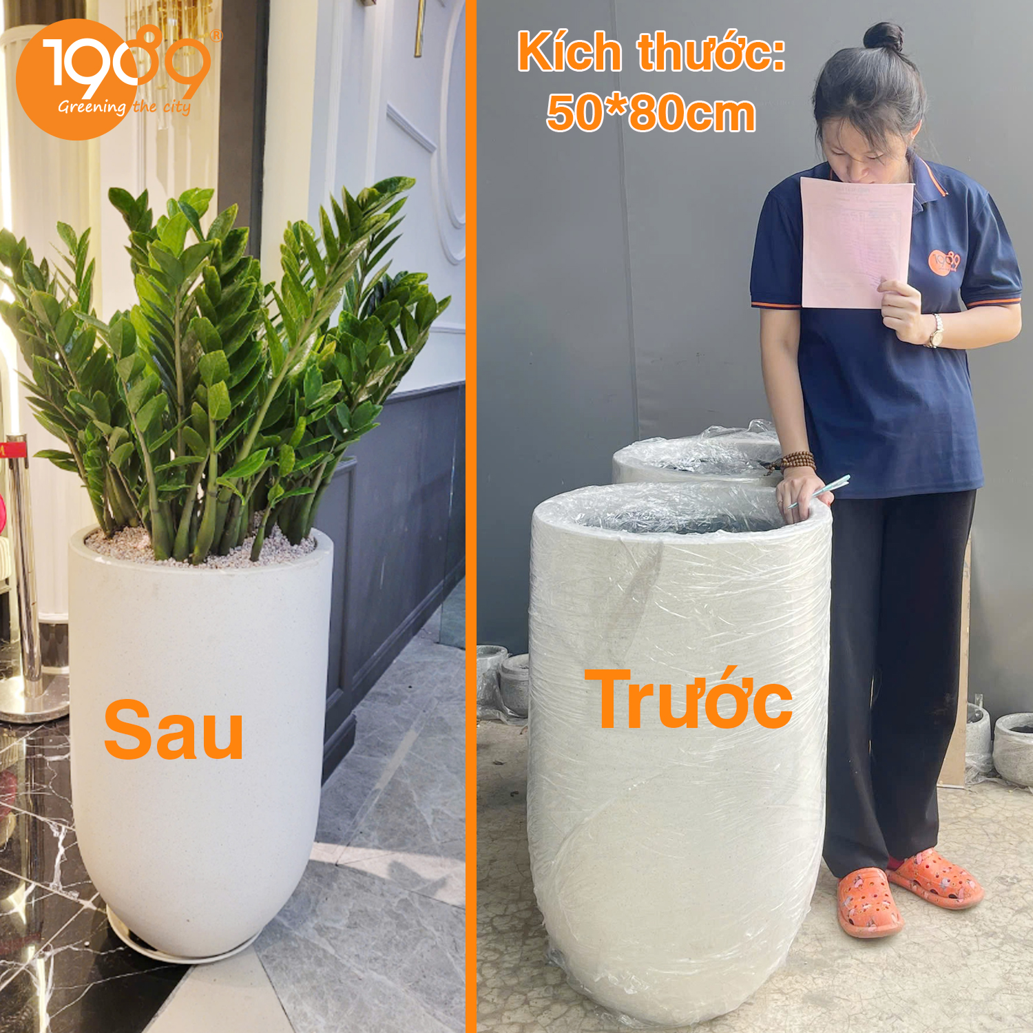 Chậu Trồng Cây Size Lớn: