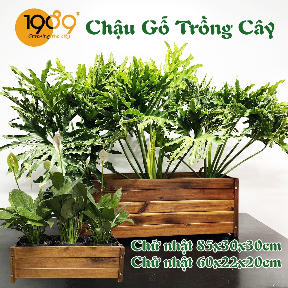 Chậu gỗ trồng cây hình chữ nhật