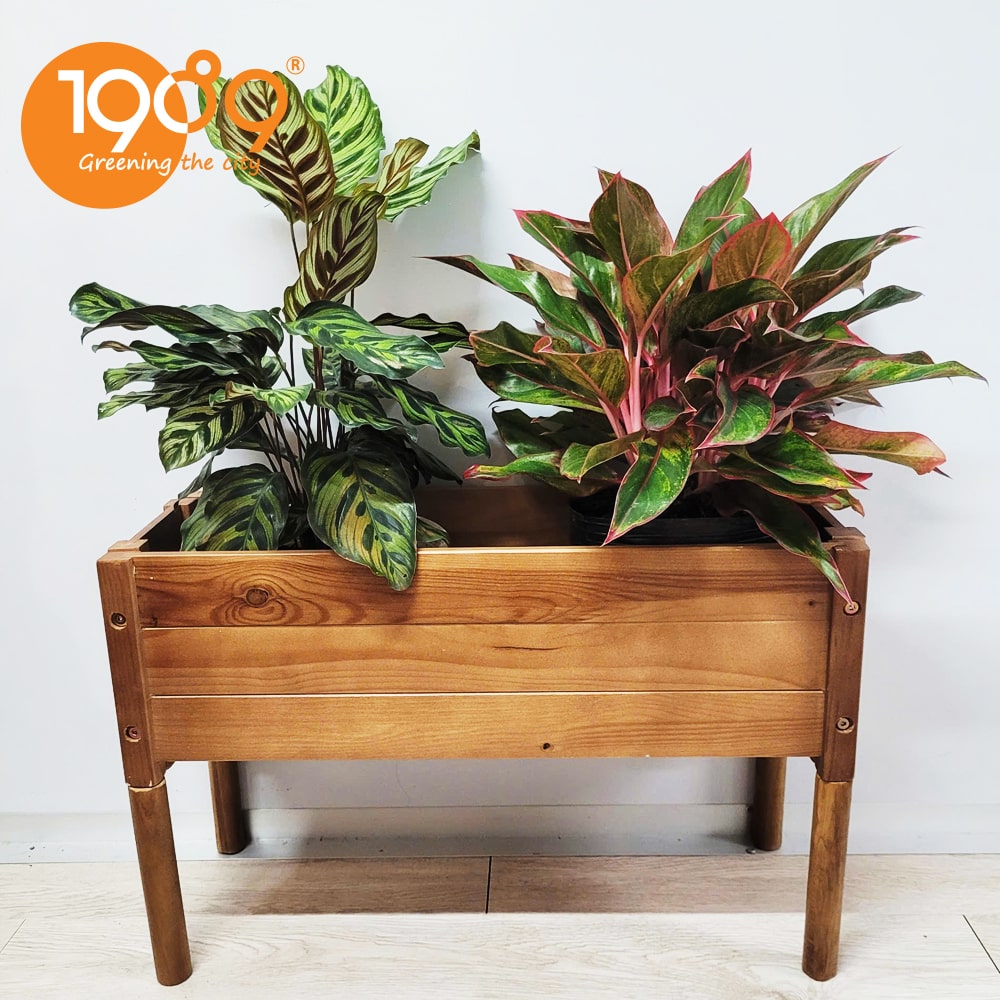 chậu gỗ chữ nhật trồng cây lắp ráp có chân