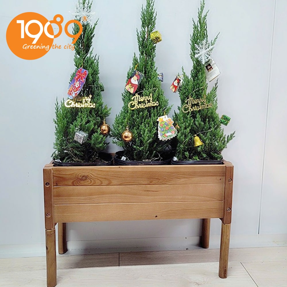 chậu gỗ chữ nhật trồng cây lắp ráp có chân