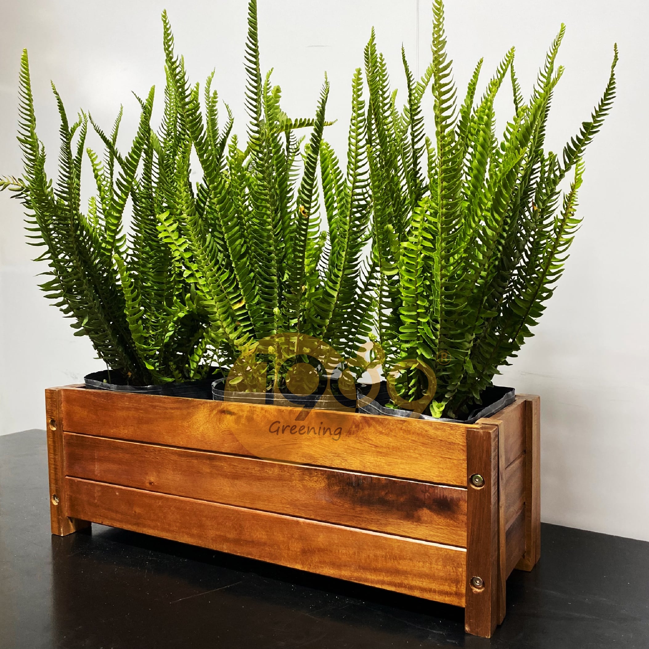 Chậu Gỗ Hình Chữ Nhật Lắp Ráp