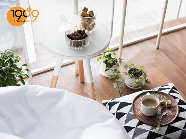 chậu cây cảnh chậu gốm