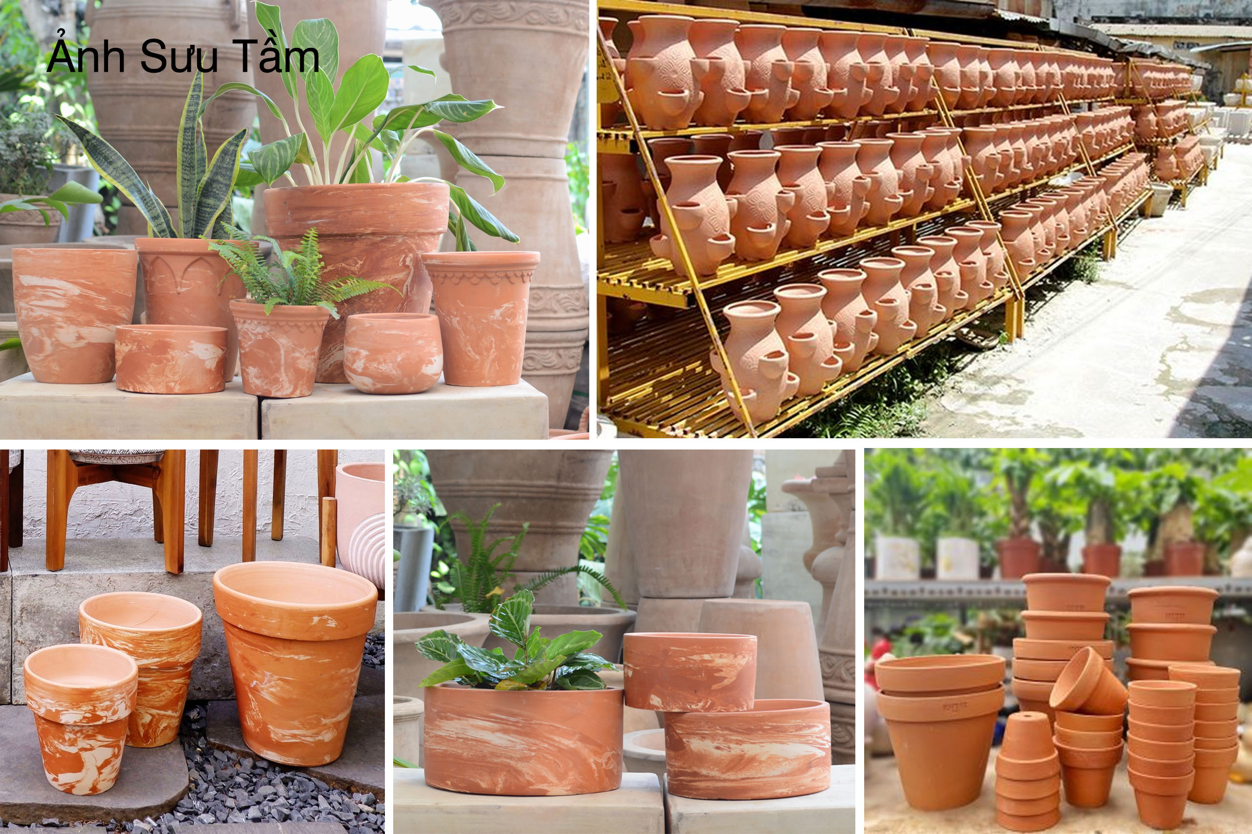 So sánh chậu xi măng đá mài và chậu gốm