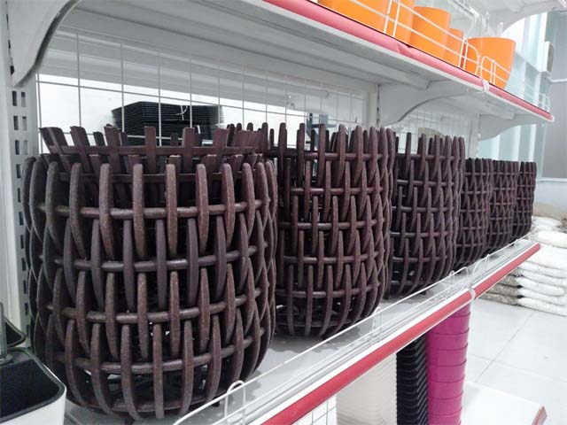 chậu hoan lan 1989