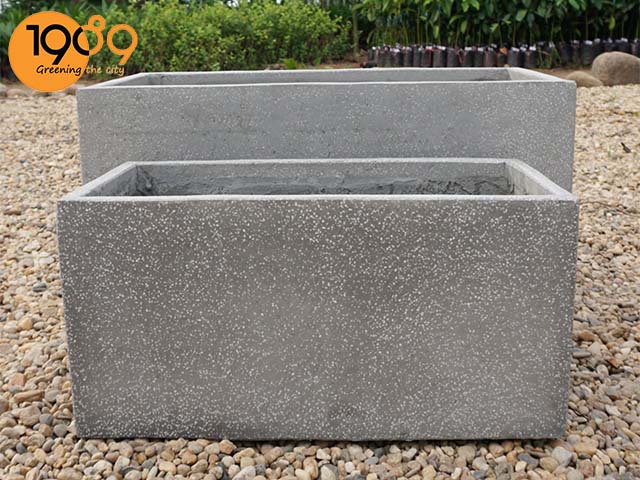 chậu kiểng hình chữ nhật chậu xi măng chữ nhật nuôi cá cảnh