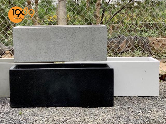 chậu kiểng hình chữ nhật trắng xám đen